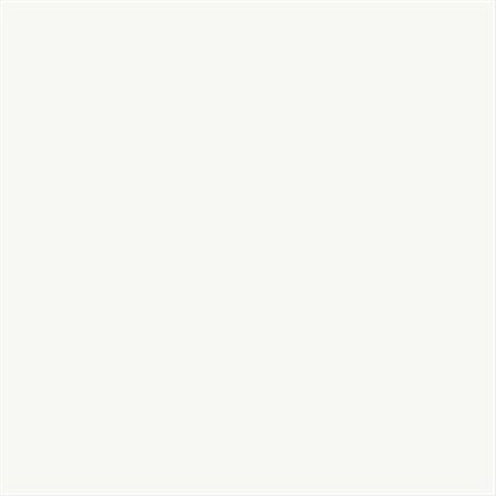 FADELESS Fadeless 006099 Sulphite Acid-Free Art Paper Roll; White 6099